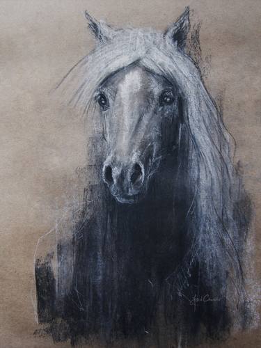 Print of Horse Drawings by Astrid Chevallier