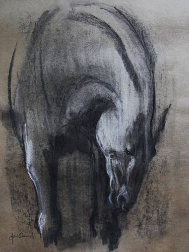 Print of Expressionism Horse Drawings by Astrid Chevallier