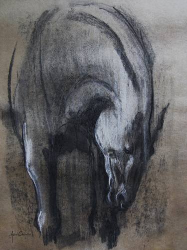 Original Horse Drawings by Astrid Chevallier