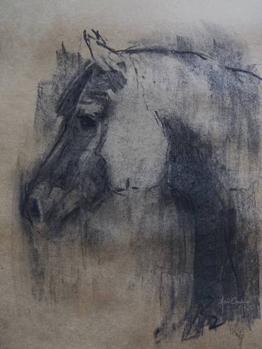 Original Horse Drawings by Astrid Chevallier
