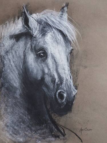 Original Expressionism Horse Drawings by Astrid Chevallier
