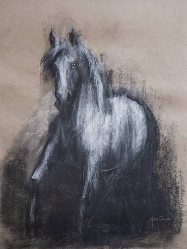 Print of Impressionism Horse Drawings by Astrid Chevallier