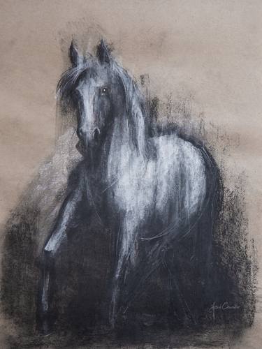 Print of Horse Drawings by Astrid Chevallier