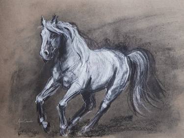 Original Realism Horse Drawings by Astrid Chevallier