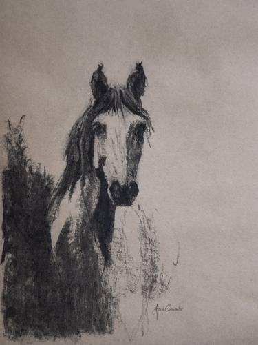 Print of Expressionism Horse Drawings by Astrid Chevallier