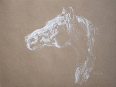 Original Figurative Horse Drawings by Astrid Chevallier