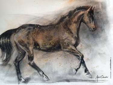 Print of Realism Horse Mixed Media by Astrid Chevallier