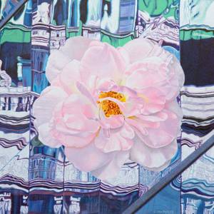 Pink Rose Midtown