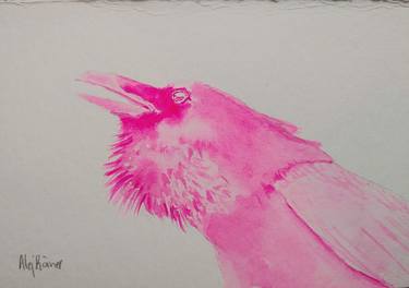cuervo rosa thumb