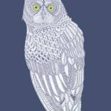 Claire Scully - 'Owl' Blue by Mother Drucker