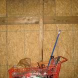 Cart by Matthew Schlichter