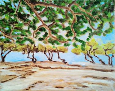 Beach Trees thumb