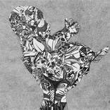 Collection Celebrating Women