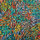 Colour Vibrations by Cass K