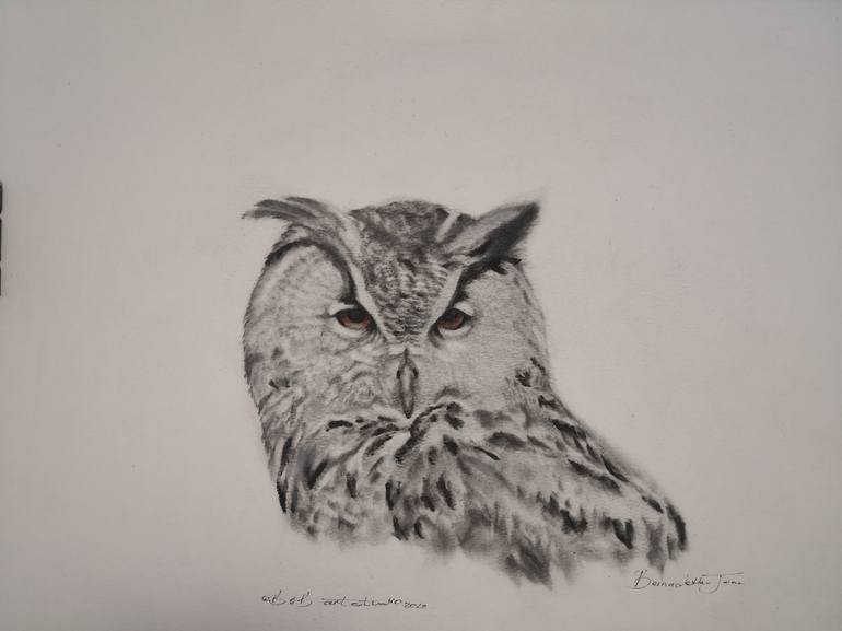 Birds of South-Africa series - owl - Print