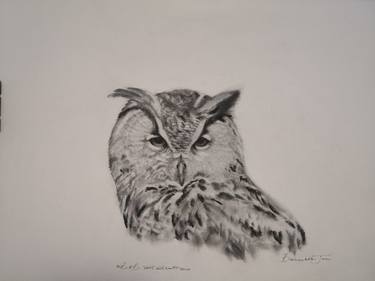 Birds of South-Africa series - owl thumb