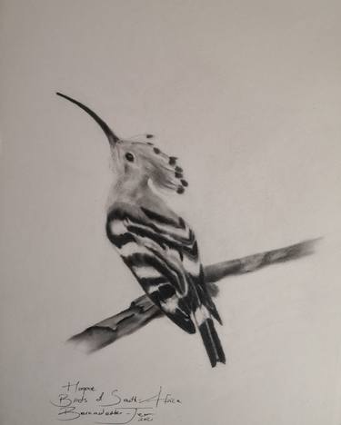 Birds of South-Africa series - Hoopoe thumb