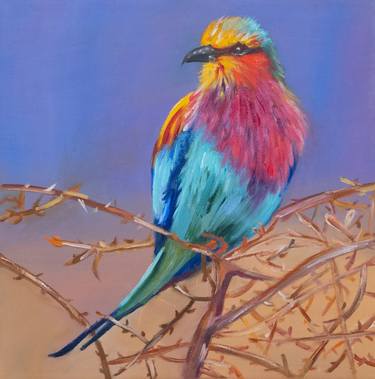 Colourful bird animals art thumb