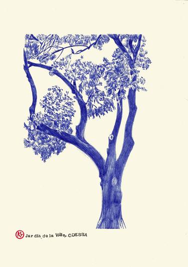 Original Tree Drawings by Delphine Rocher