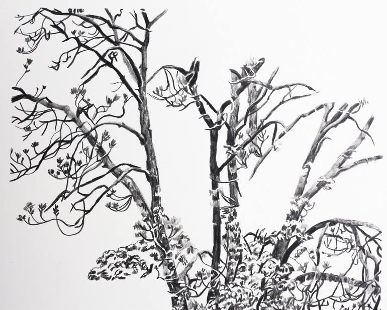 Original Landscape Drawing by Delphine Rocher