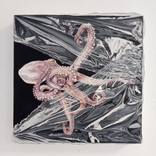 Collection New This Week 11-24-2025