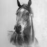 head horse Drawing by Dedy Reru | Saatchi Art