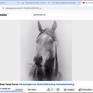 my drawing youtube channel