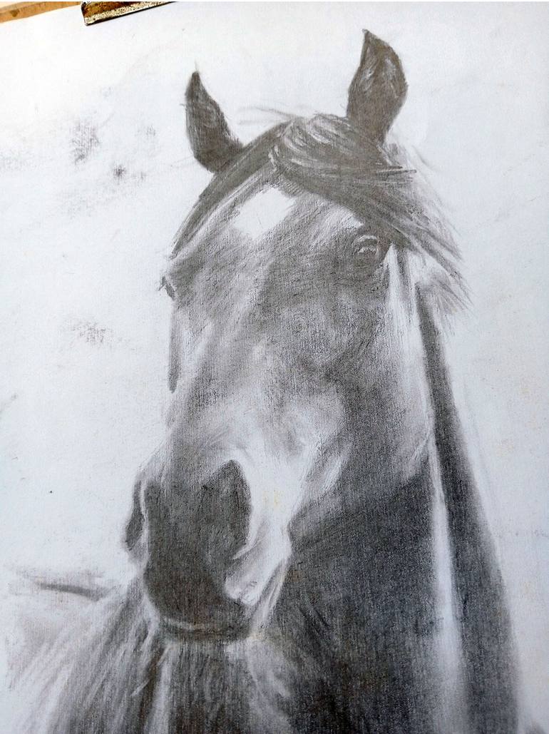 Original Illustration Animal Drawing by Dedy Reru