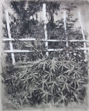 Print of Expressionism Garden Drawings by Dedy Reru