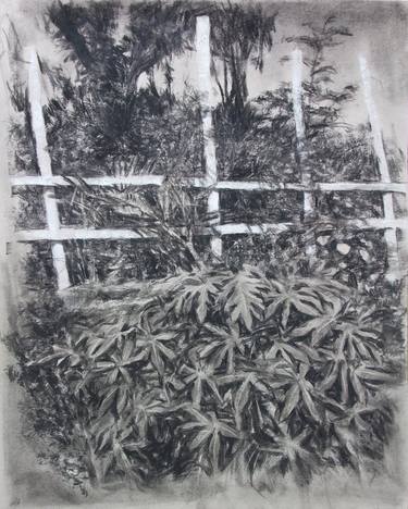 Print of Garden Drawings by Dedy Reru