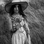 Collection Nude