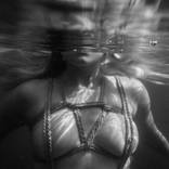 Collection Underwater