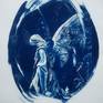 Collection Cyanotype