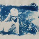 Collection Cyanotype