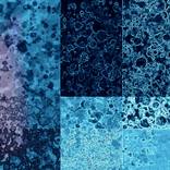 Collection Generative ART NFT - Code Based Artwork Artwork