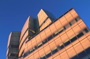 Gehry at New York thumb