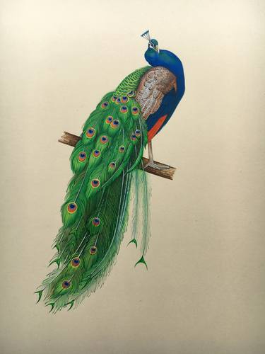 Peacock Handmade Miniature Artwork on Paper thumb