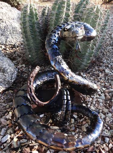 'Your Move', Desert Dark-morph Rattlesnake thumb