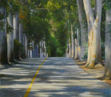 Eucalyptus lined street thumb