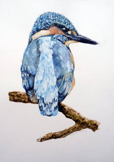 Original Animal Paintings by Philippa Bandurek Bradbury