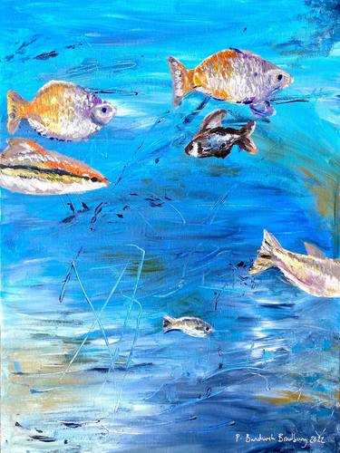 Original Fish Paintings by Philippa Bandurek Bradbury