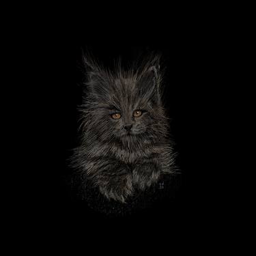 Maine Coon - Limited Edition of 5 thumb
