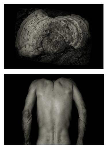 Original Body Photography by Manfred Moncken