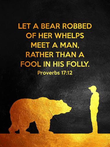 Proverbs 17:12 Bible Verse Wall Art thumb