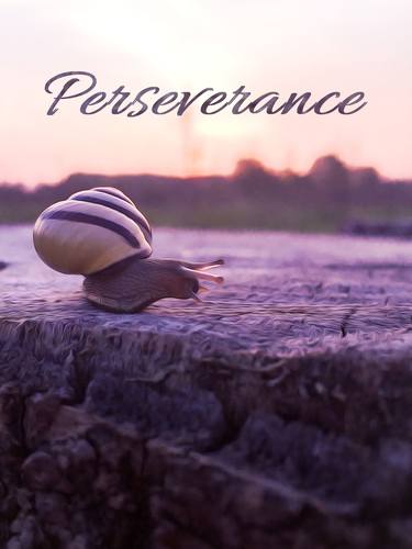Snail Perseverance thumb
