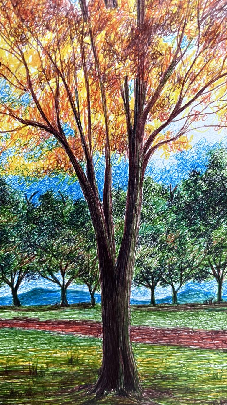 Original Contemporary Nature Drawing by Humberto C Pornaro