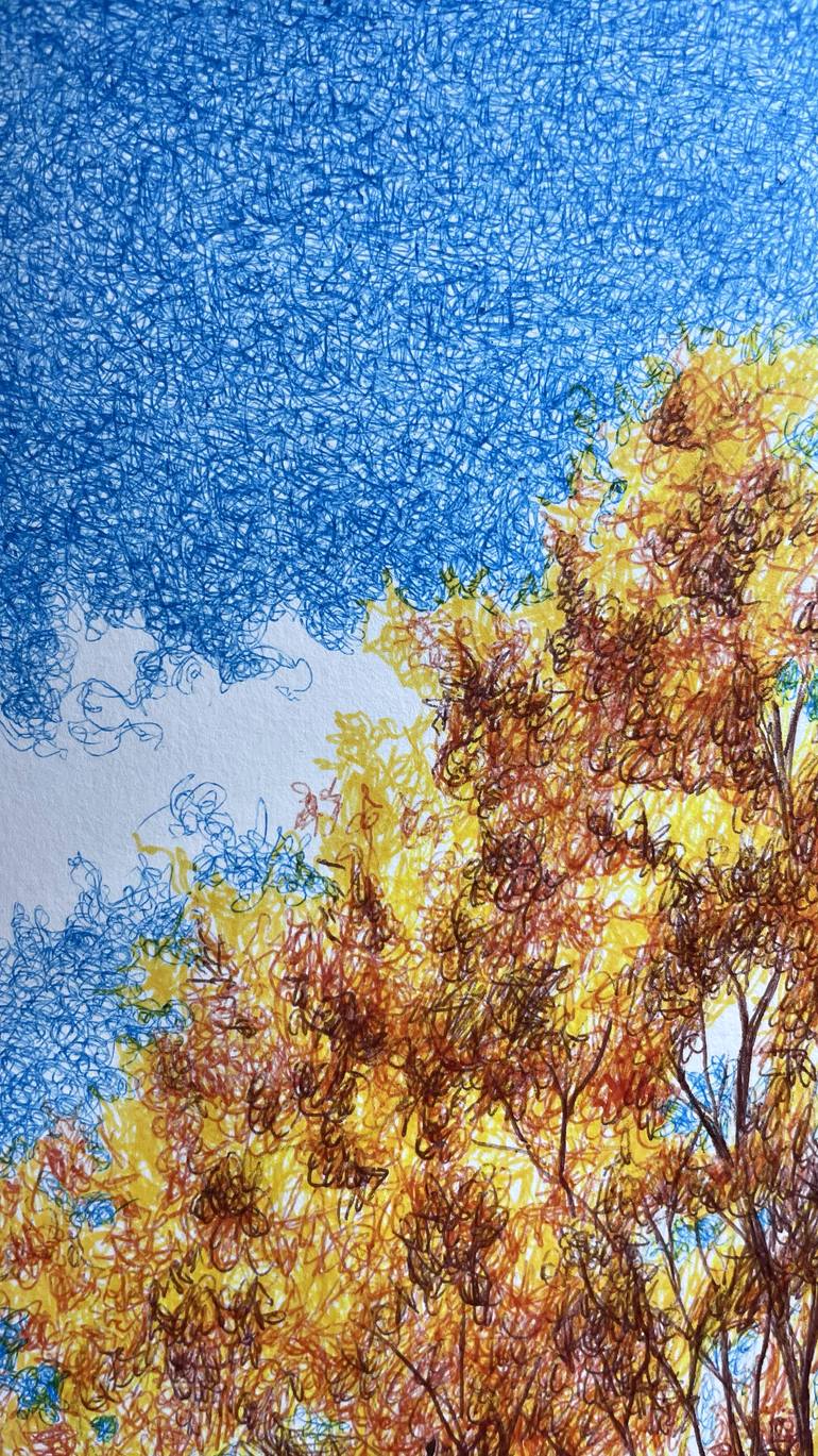 Original Contemporary Nature Drawing by Humberto C Pornaro
