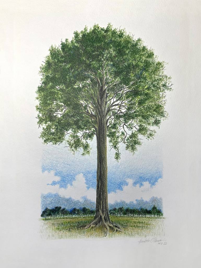 Big tree Painting by Humberto C Pornaro | Saatchi Art