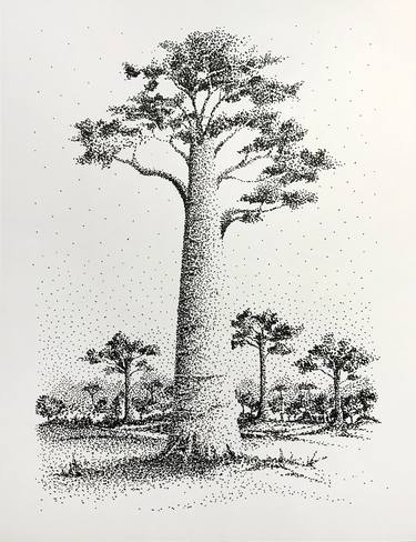 Print of Nature Drawings by Humberto C Pornaro