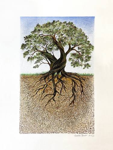 Original Conceptual Tree Drawings by Humberto C Pornaro